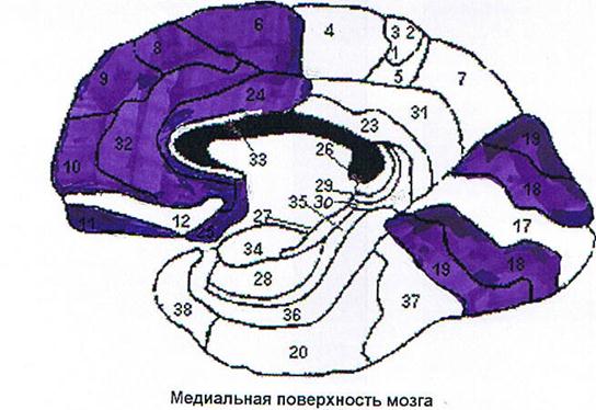 Боль печаль и разочарование